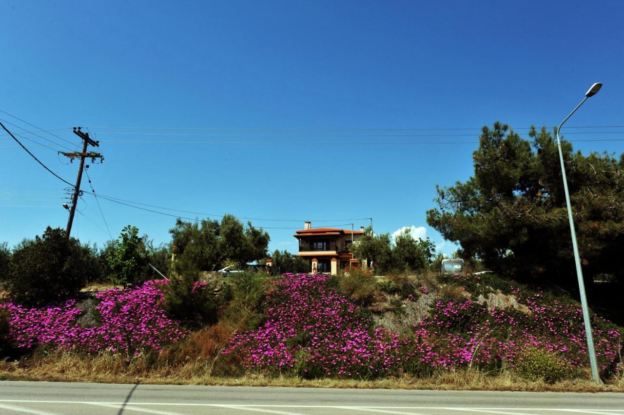 Captain'S Villa Appartments Psakoudia Exterior foto